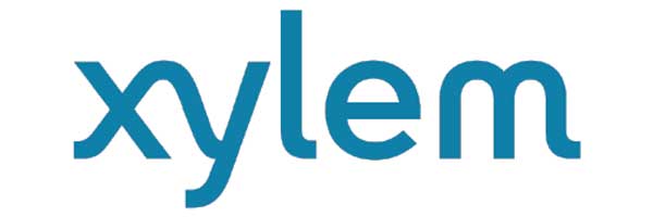 xylem